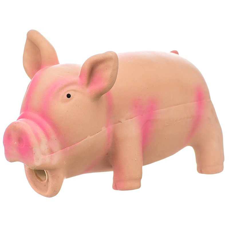 latex pig dog toy