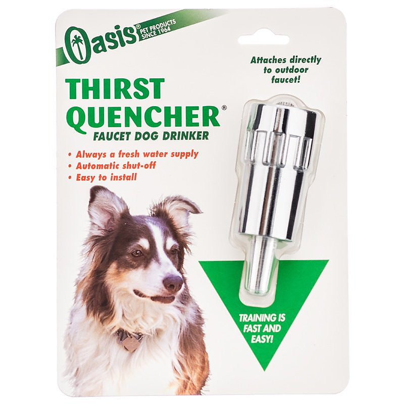 Oasis Thirst Quencher Faucet Dog Waterer