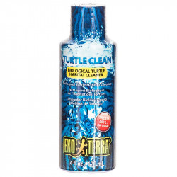 cheap turtle supplies